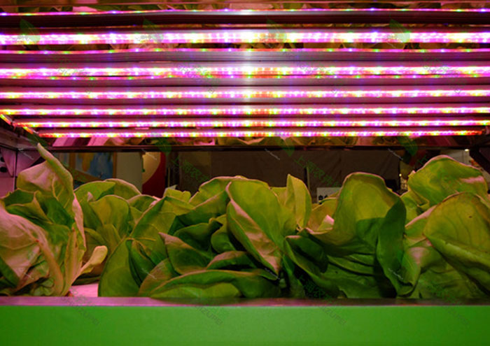 LEDֲM猣(zhun)ß